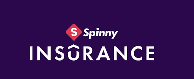 Spinny Insurance