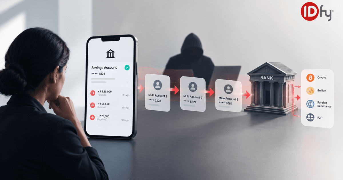 Mule Accounts: How They Form, How They Move, and How Banks Are Fighting Back