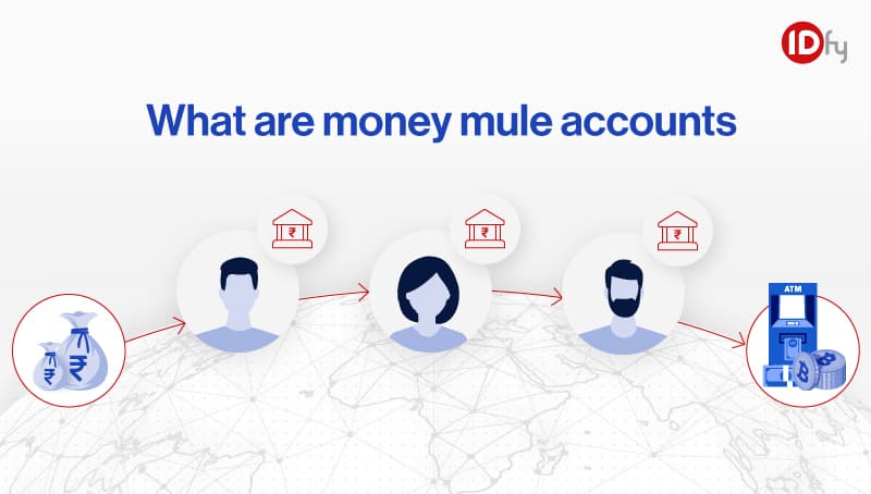 Who are money mules? | Money mule accounts